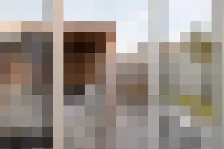Strepenakker 24 Herpen thumbnail 16