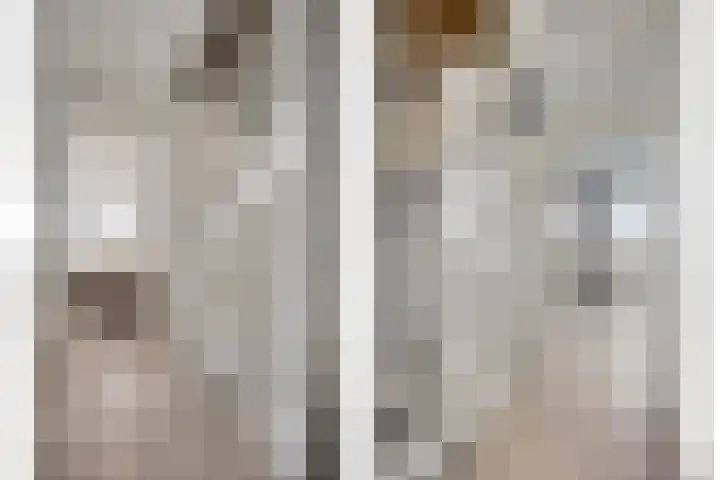 Strepenakker 24 Herpen thumbnail 20