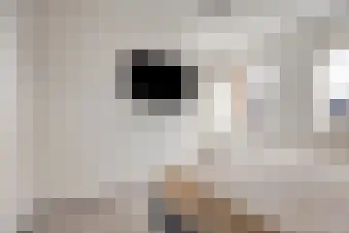 Strepenakker 24 Herpen thumbnail 22