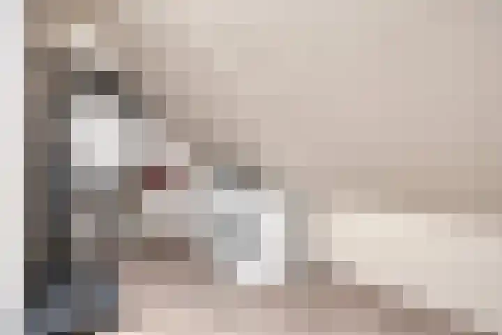 Strepenakker 24 Herpen thumbnail 30