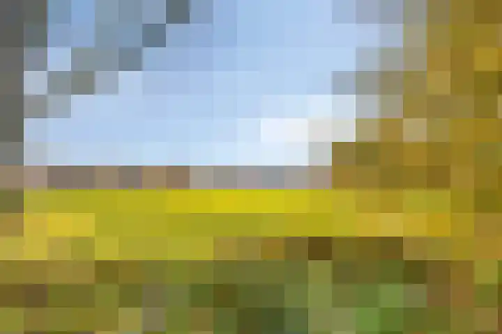 Strepenakker 24 Herpen thumbnail 34