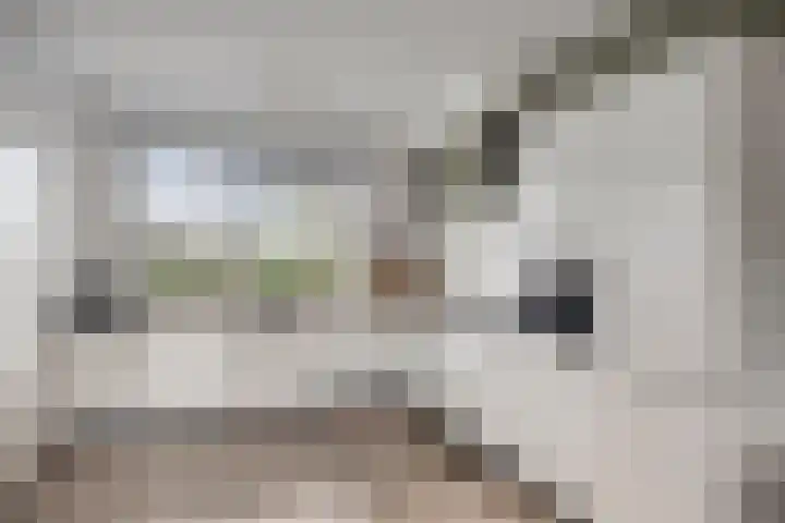 Strepenakker 24 Herpen thumbnail 8