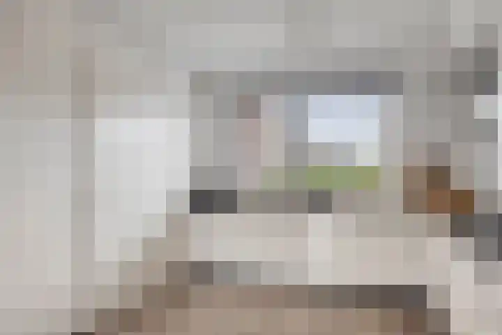 Strepenakker 24 Herpen thumbnail 9