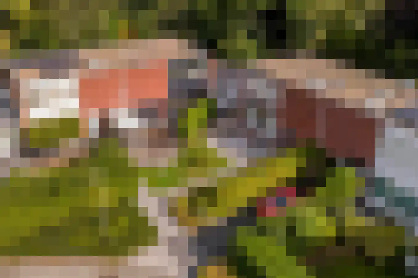 Stresemann-Nes 11 Bergen (NH) thumbnail 31