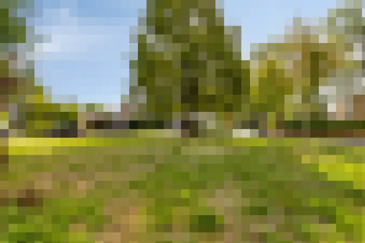 Stresemann-Nes 11 Bergen (NH) thumbnail 33