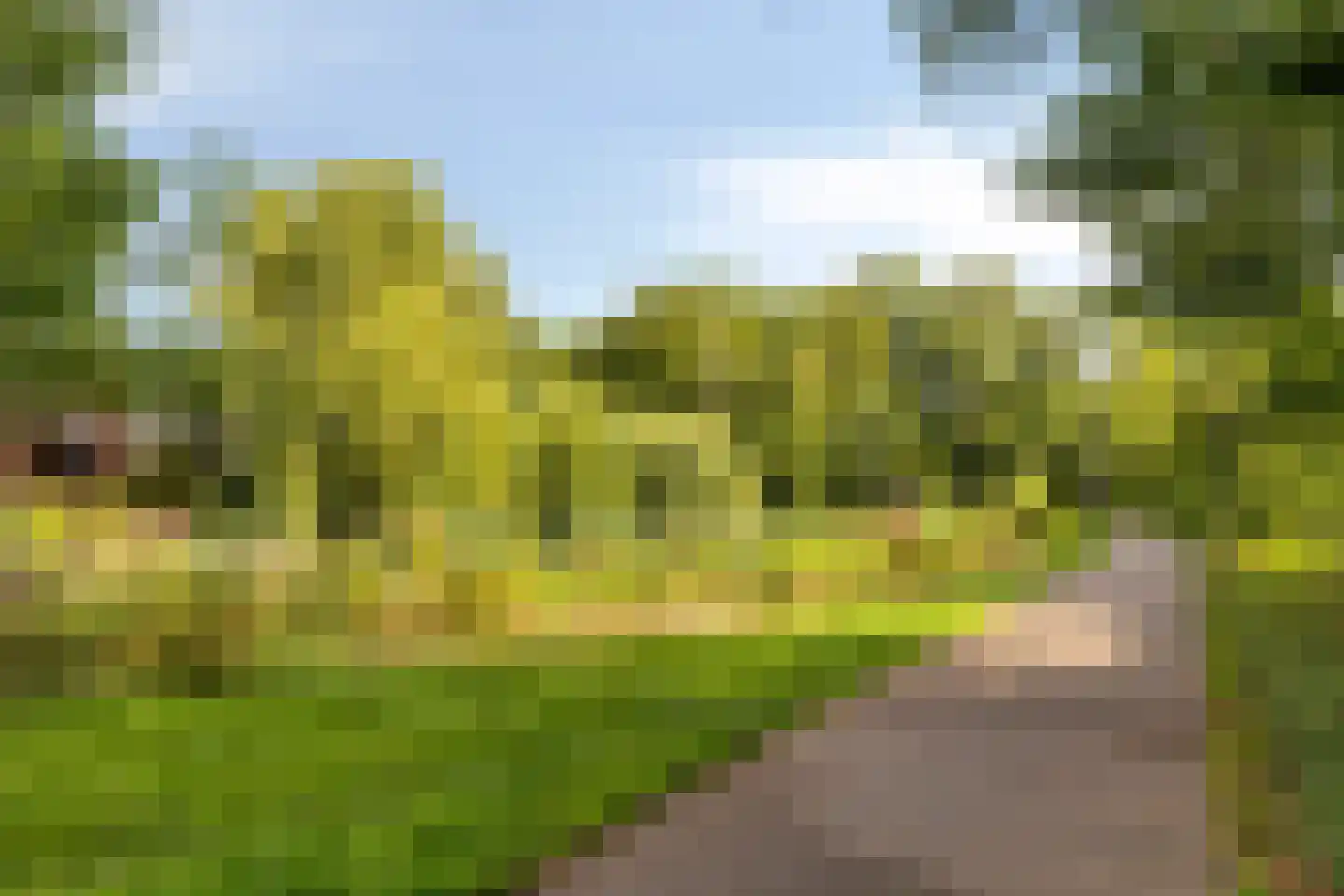 Stresemann-Nes 11 Bergen (NH) thumbnail 34