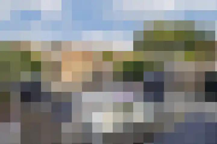 Stresemannlaan 7 Haarlem thumbnail 4
