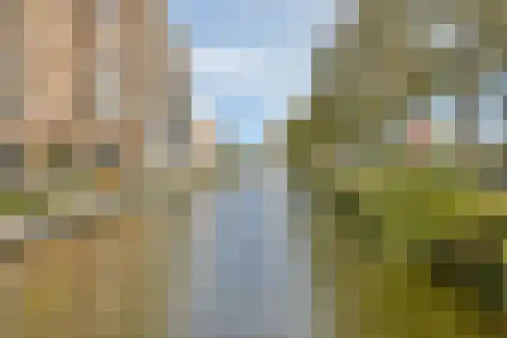 Stresemannlaan 7 Haarlem thumbnail 43