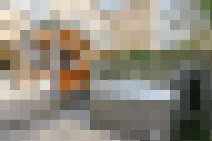 Stresemannlaan 98 Haarlem thumbnail 23