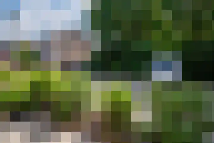 Stresemannstraat 11 Zevenaar thumbnail 4
