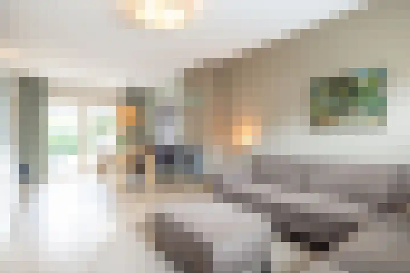 Stresemannstraat 4 Geleen thumbnail 10
