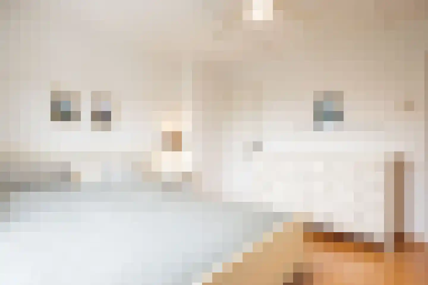 Stresemannstraat 4 Geleen thumbnail 21