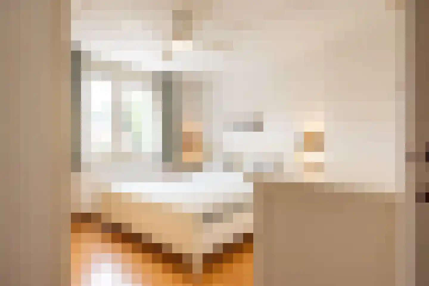 Stresemannstraat 4 Geleen thumbnail 22