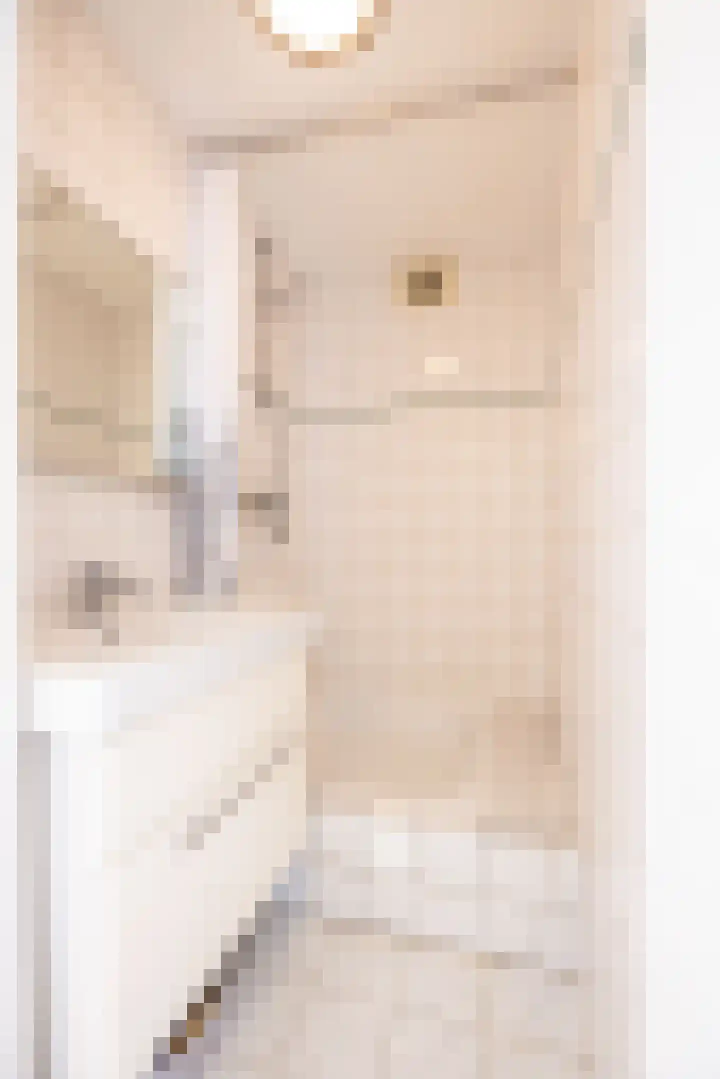 Stresemannstraat 4 Geleen thumbnail 25