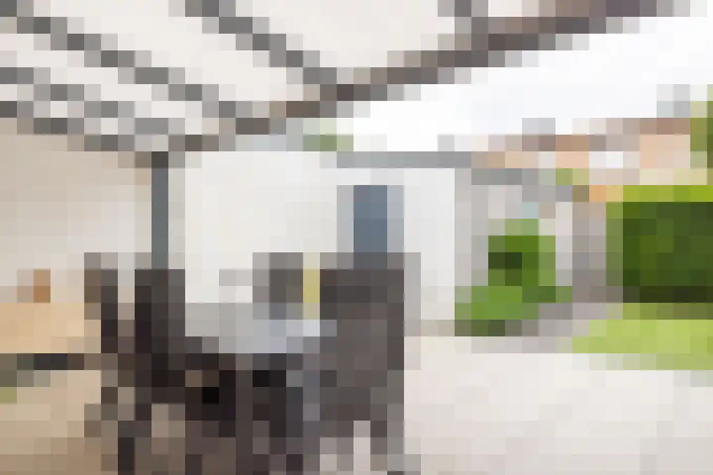 Stresemannstraat 4 Geleen thumbnail 29