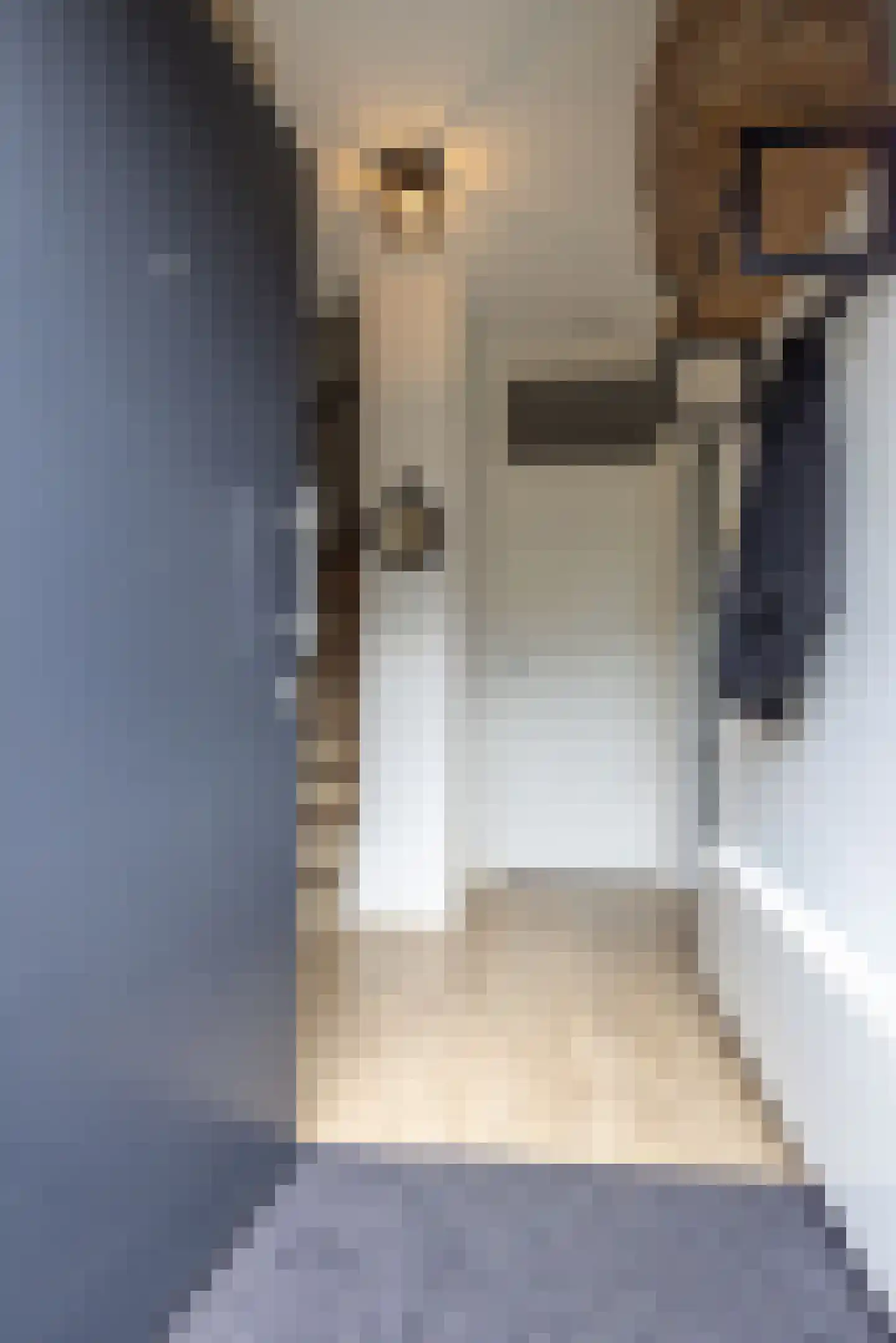 Stresemannstraat 4 Geleen thumbnail 5