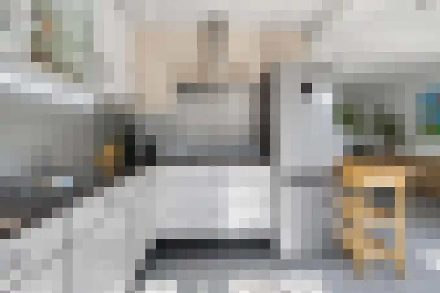 Stresemannstraat 7 Geleen thumbnail 19