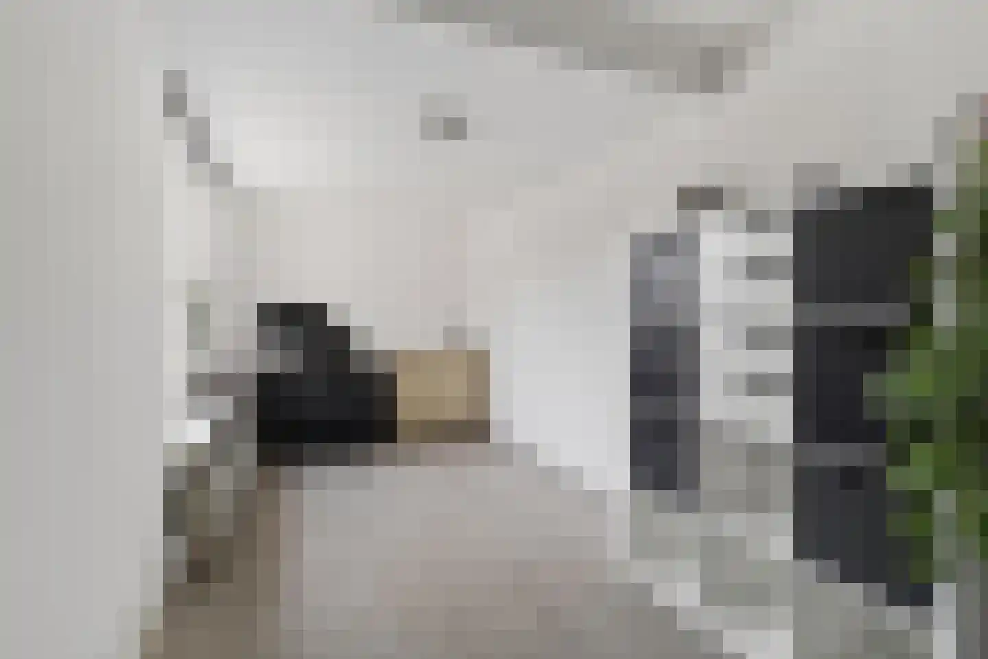 Stresemannstraat 7 Geleen thumbnail 26