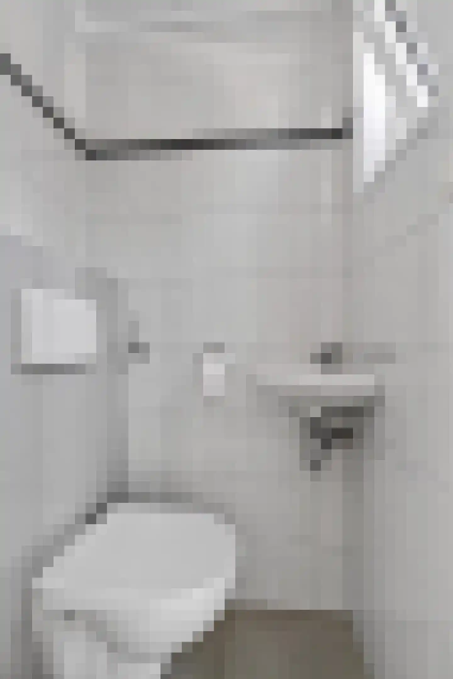 Stresemannstraat 7 Geleen thumbnail 5