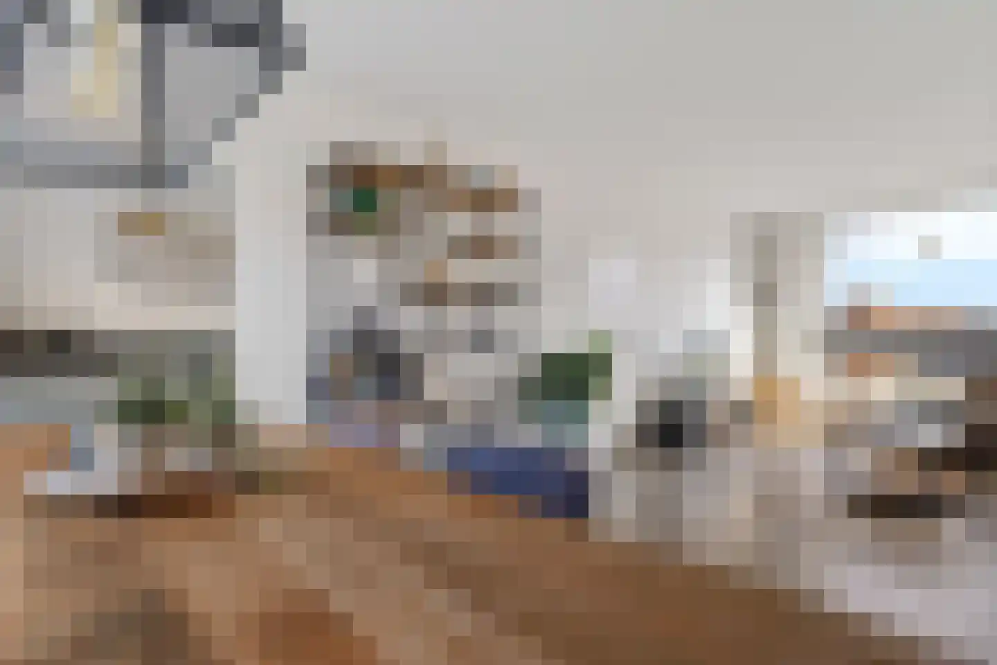 Streukelerstraat 36 Hasselt thumbnail 18