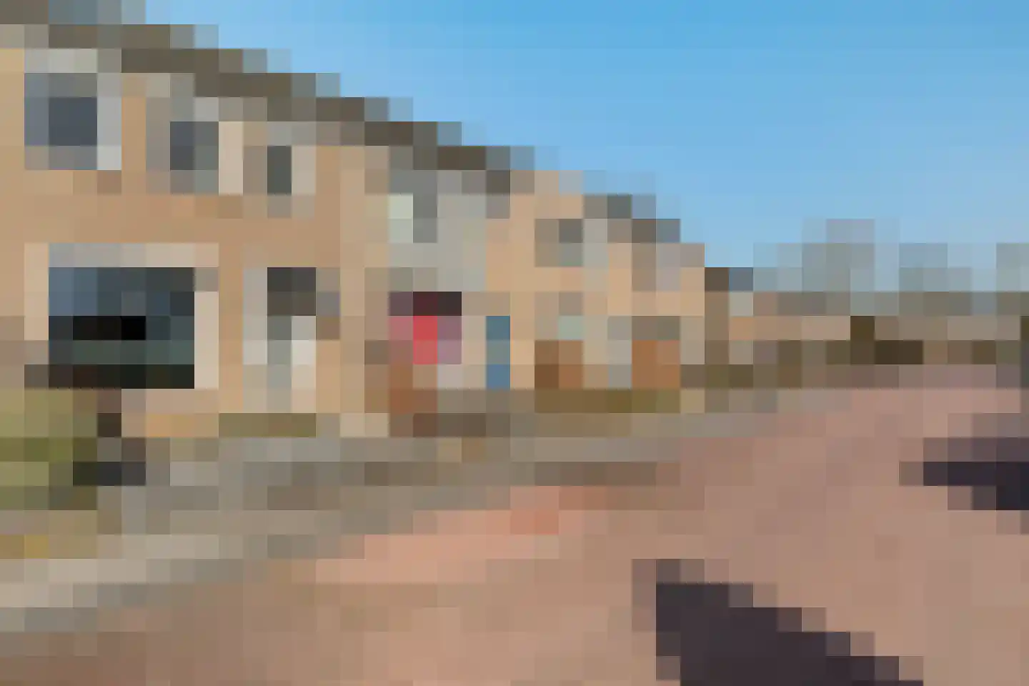 Streukelerstraat 36 Hasselt thumbnail 8