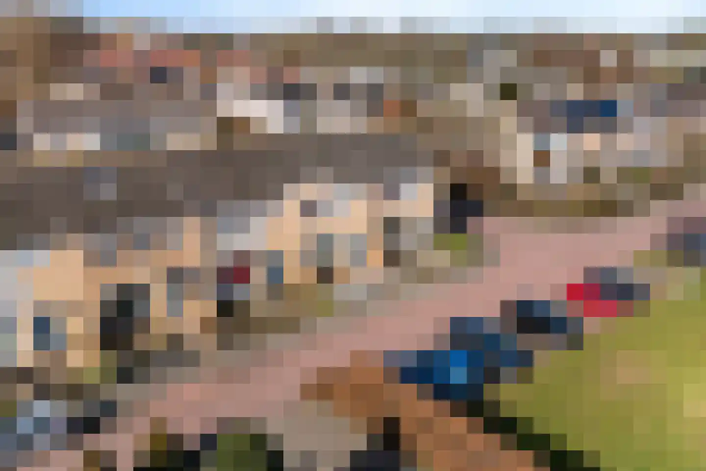Streukelerstraat 36 Hasselt thumbnail 9