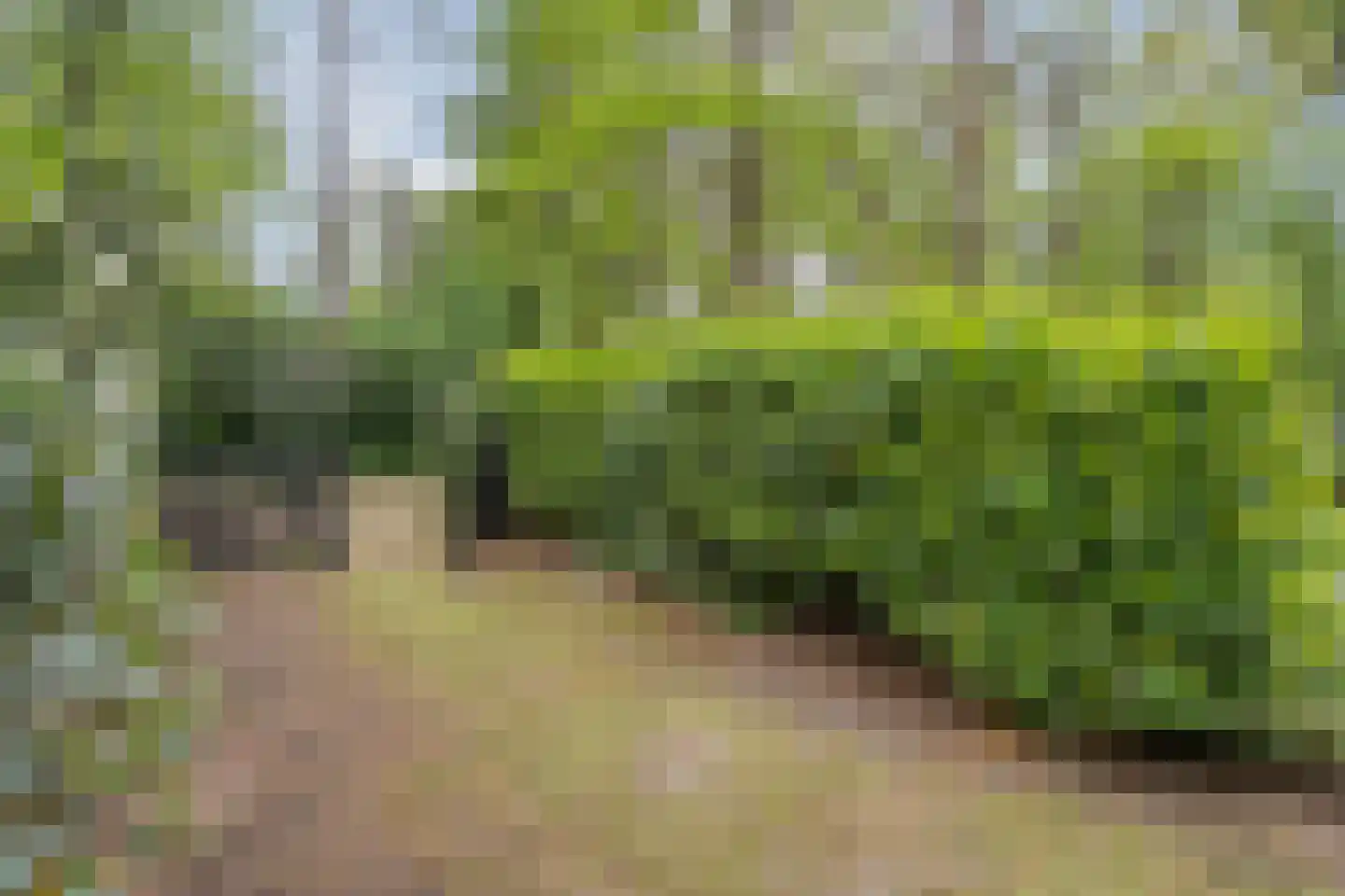 Streuweg 13 C5 Mander thumbnail 22