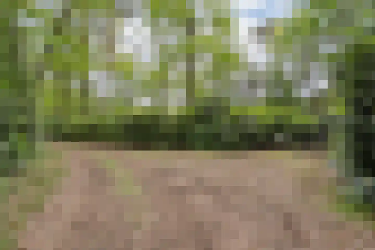 Streuweg 13 C5 Mander thumbnail 23
