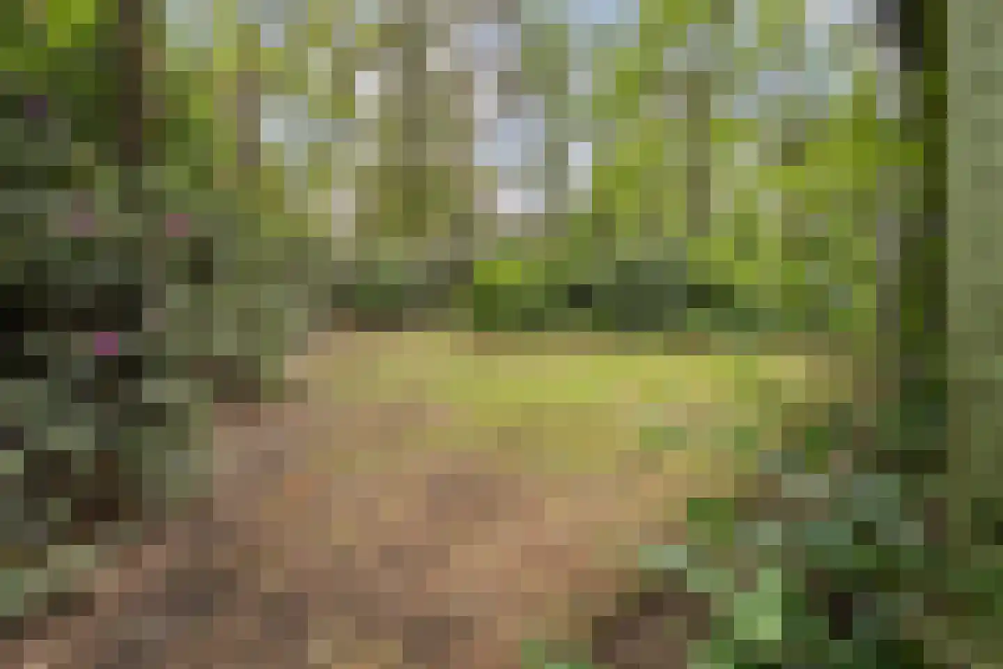 Streuweg 13 C5 Mander thumbnail 24