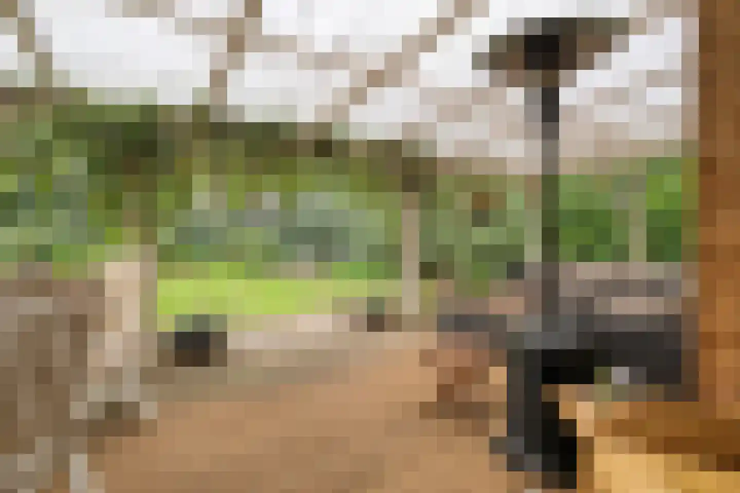 Streuweg 13 C5 Mander thumbnail 4