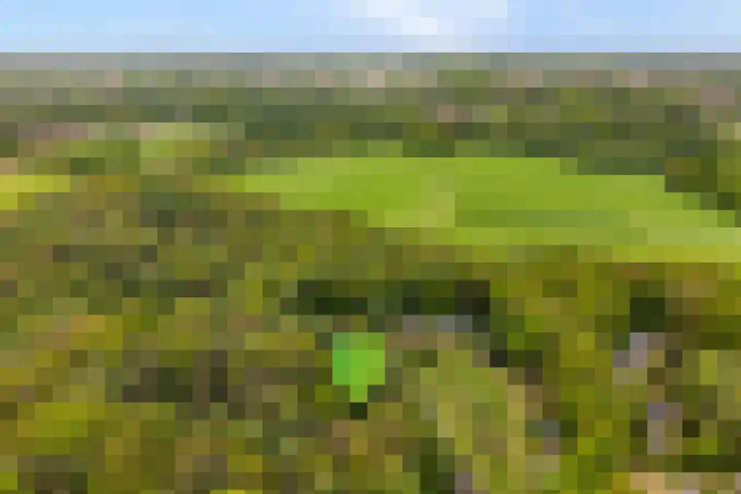 Streuweg 13 C5 Mander thumbnail 5