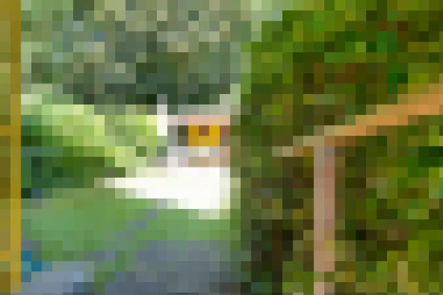 Streuweg 5 Mander thumbnail 18