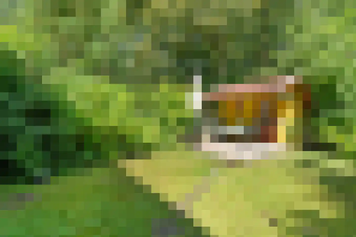 Streuweg 5 Mander thumbnail 19