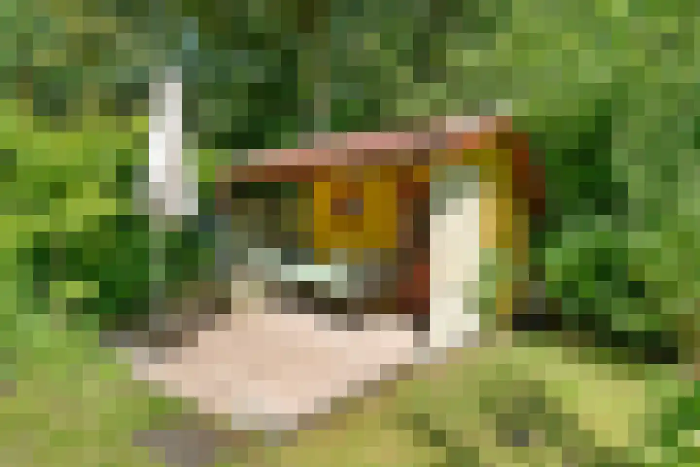 Streuweg 5 Mander thumbnail 20