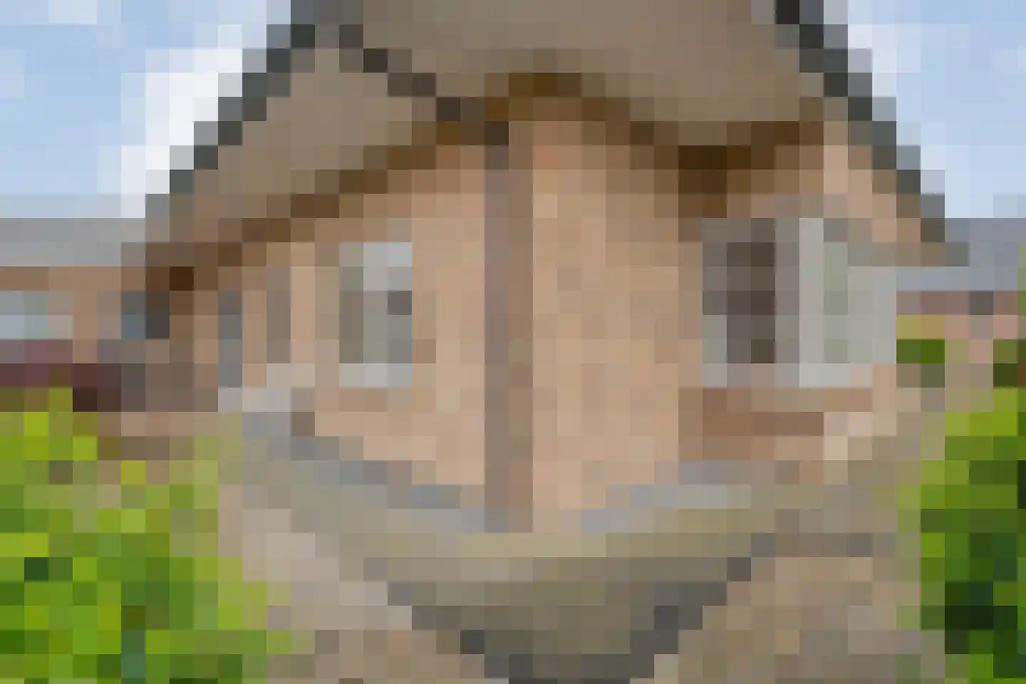 Streuweg 7 Mander thumbnail 29