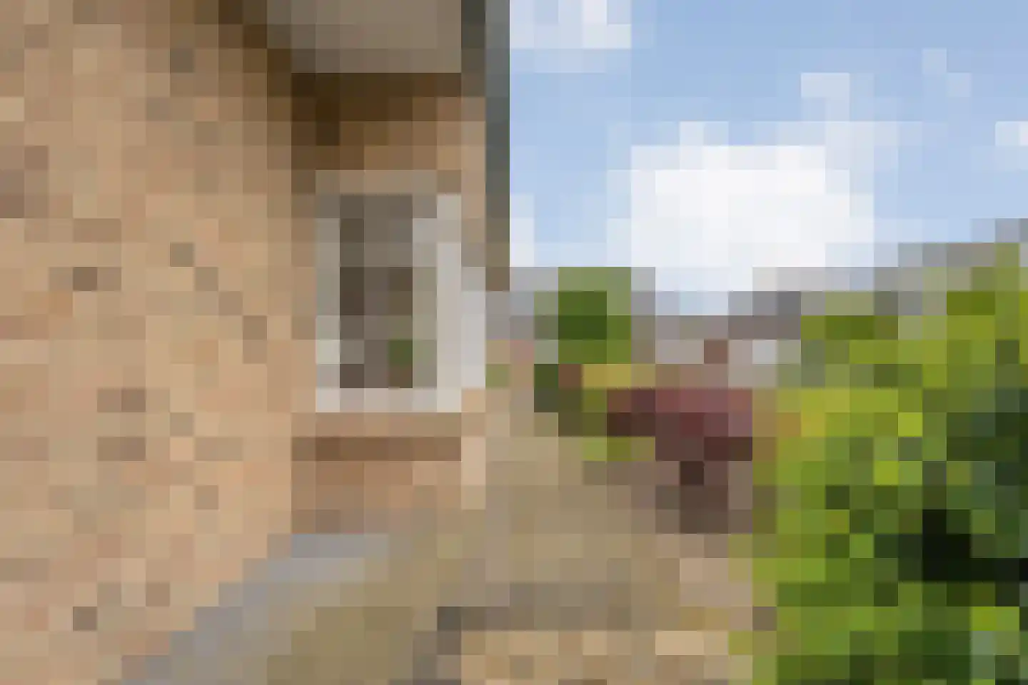 Streuweg 7 Mander thumbnail 30