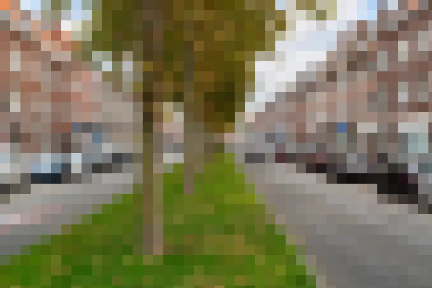 Strevelsweg 118 B 01 Rotterdam