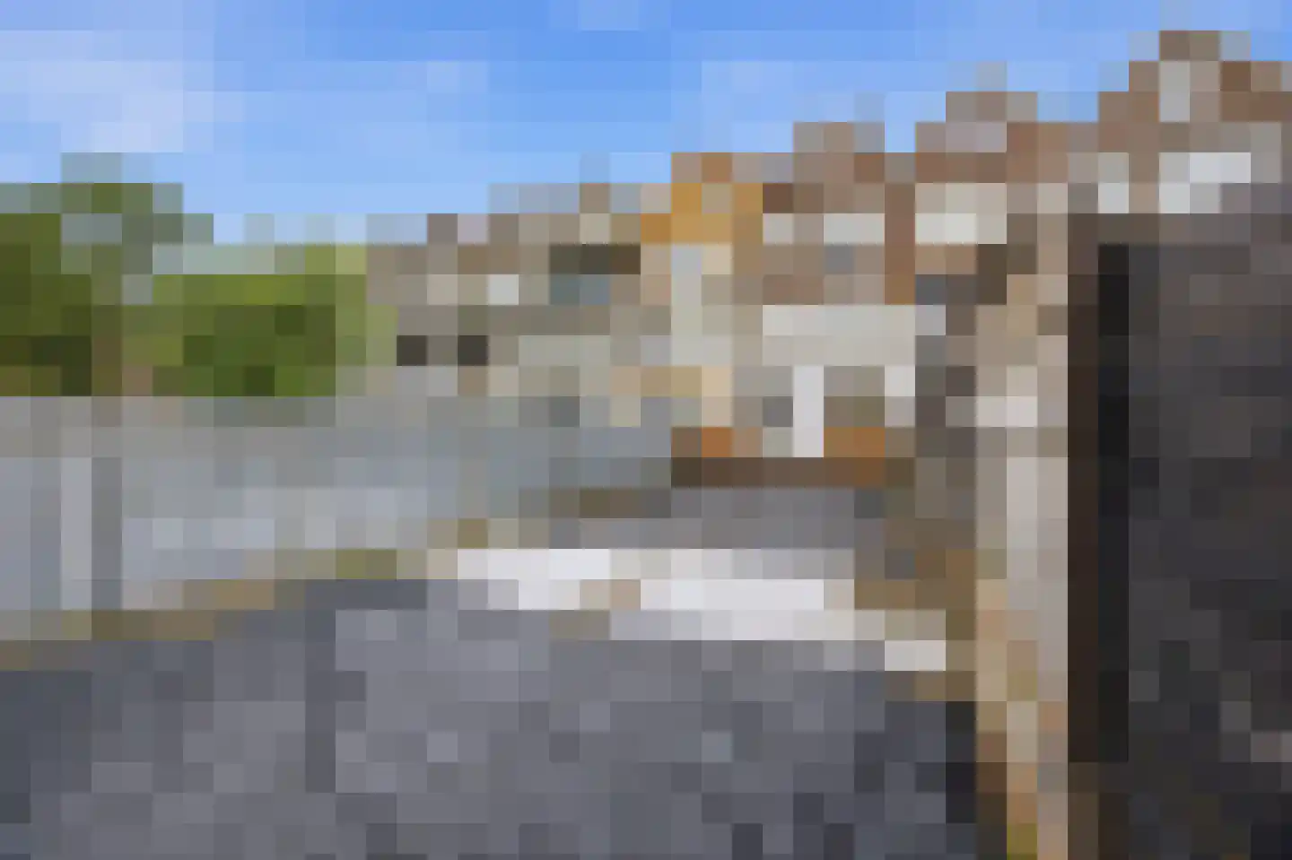 Strevelsweg 118 B 02 Rotterdam thumbnail 19
