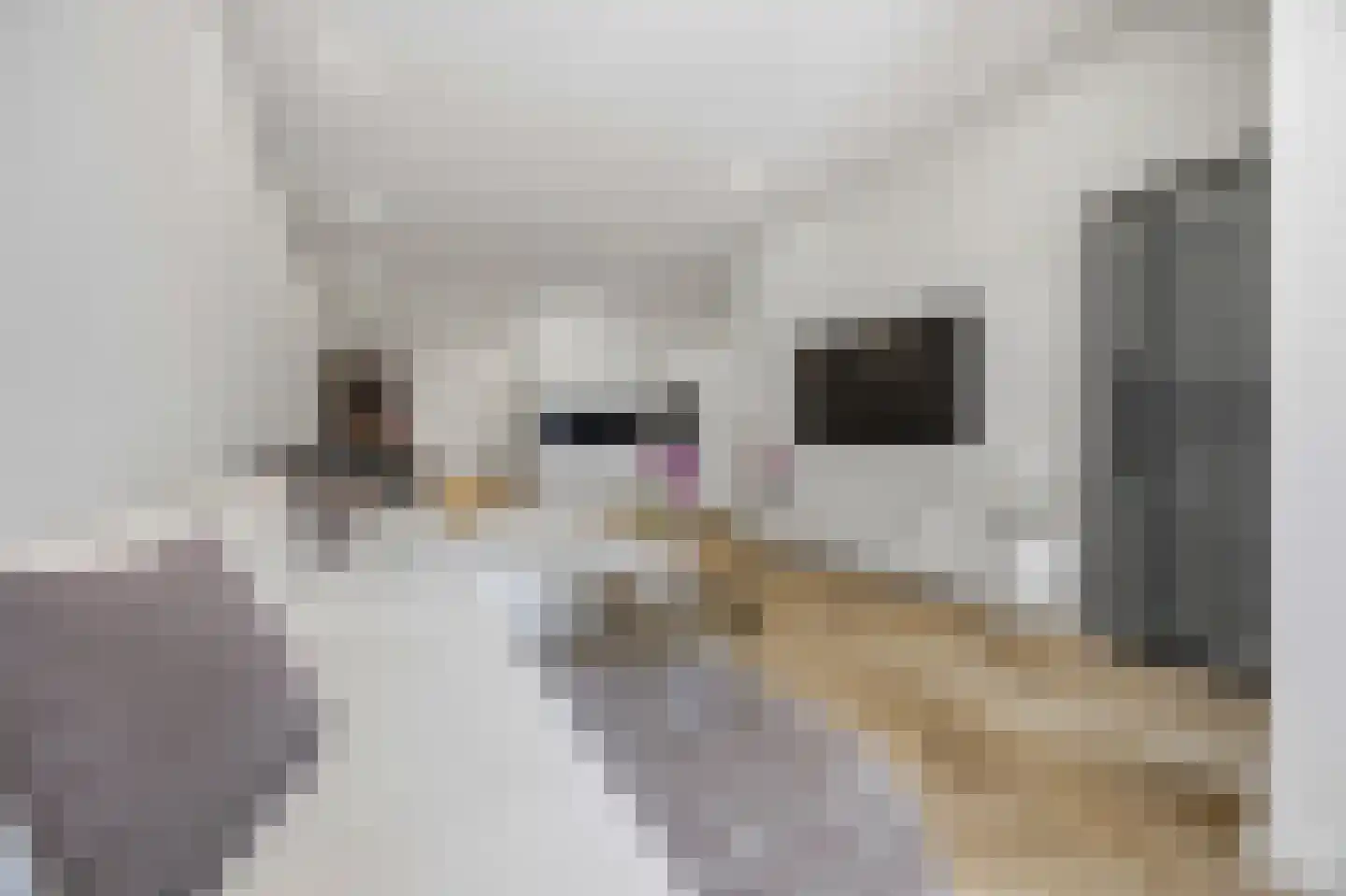 Strevelsweg 118 B 02 Rotterdam thumbnail 6