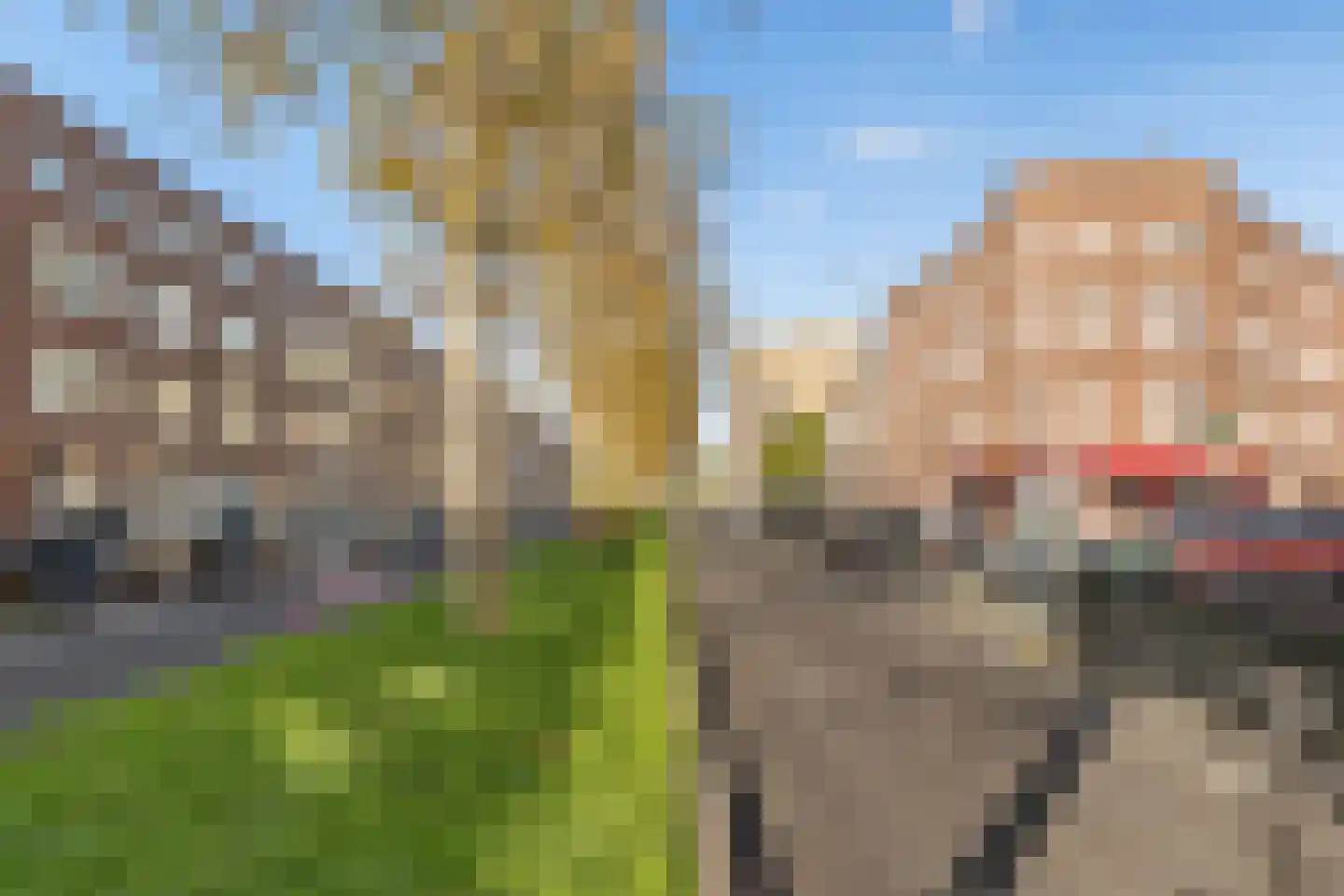 Strevelsweg 135 B Rotterdam thumbnail 21