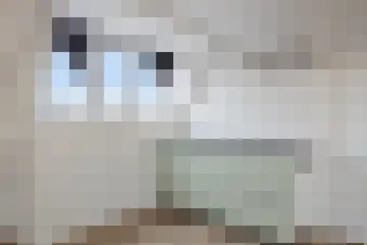 Strevelsweg 141 B Rotterdam thumbnail 14