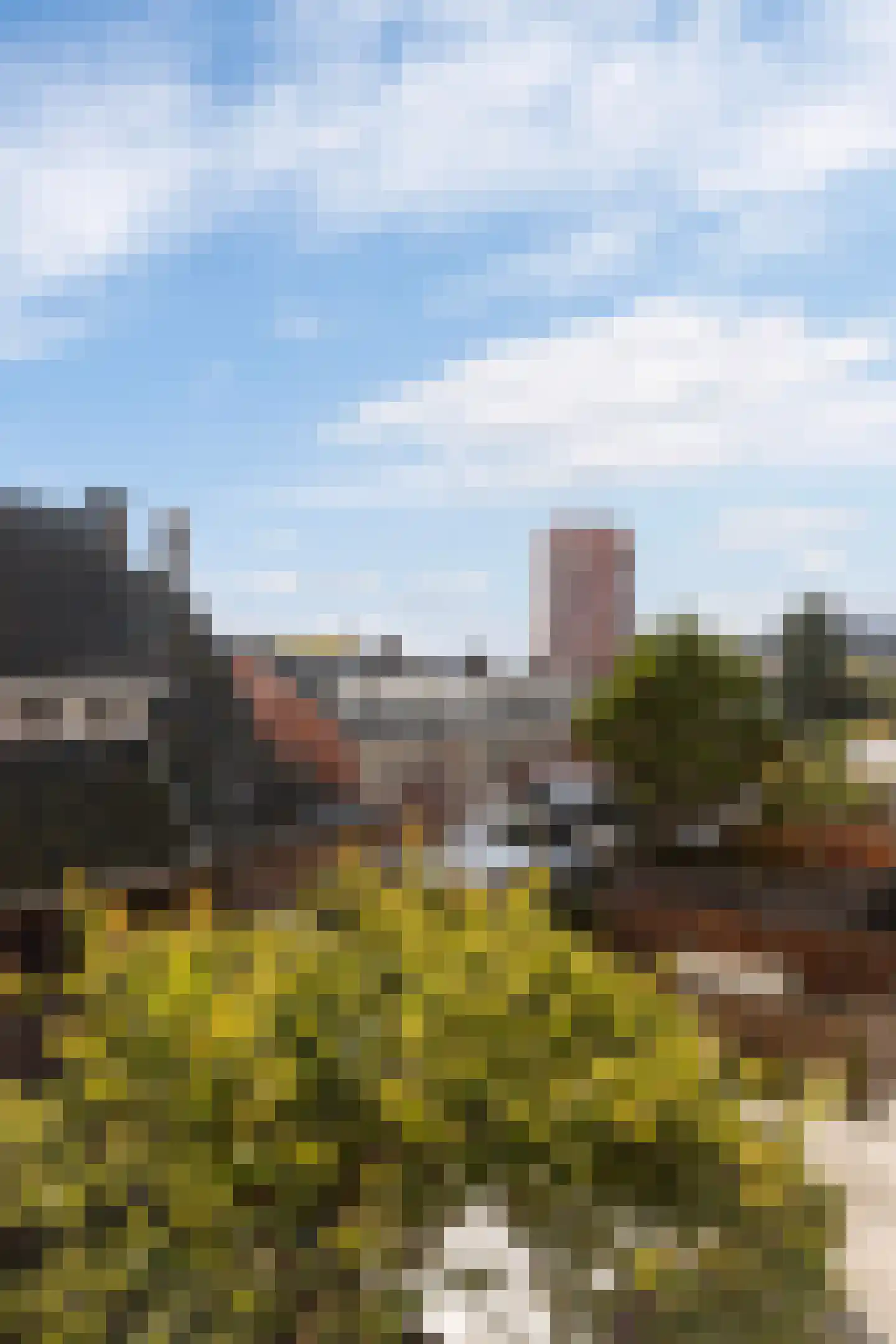Strevelsweg 144 A Rotterdam thumbnail 14