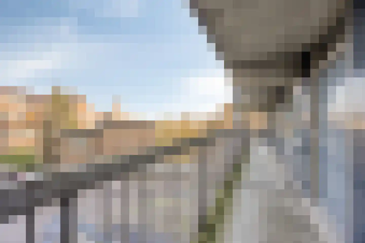 Strevelsweg 203 Rotterdam thumbnail 22