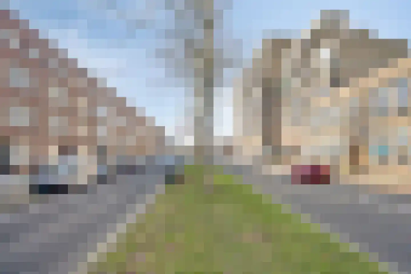 Strevelsweg 203 Rotterdam thumbnail 26