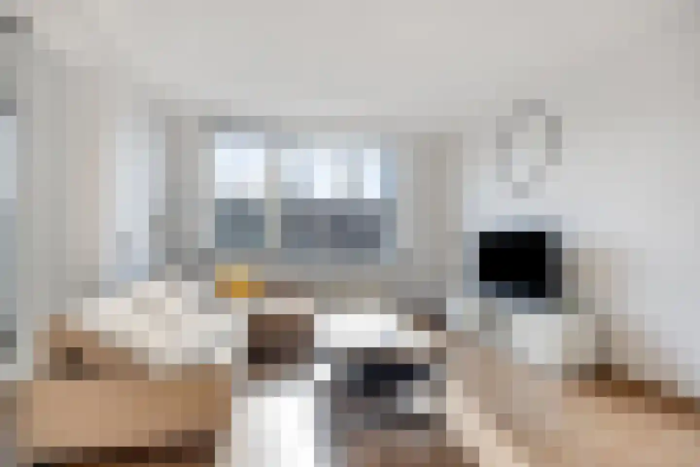 Strevelsweg 203 Rotterdam thumbnail 5