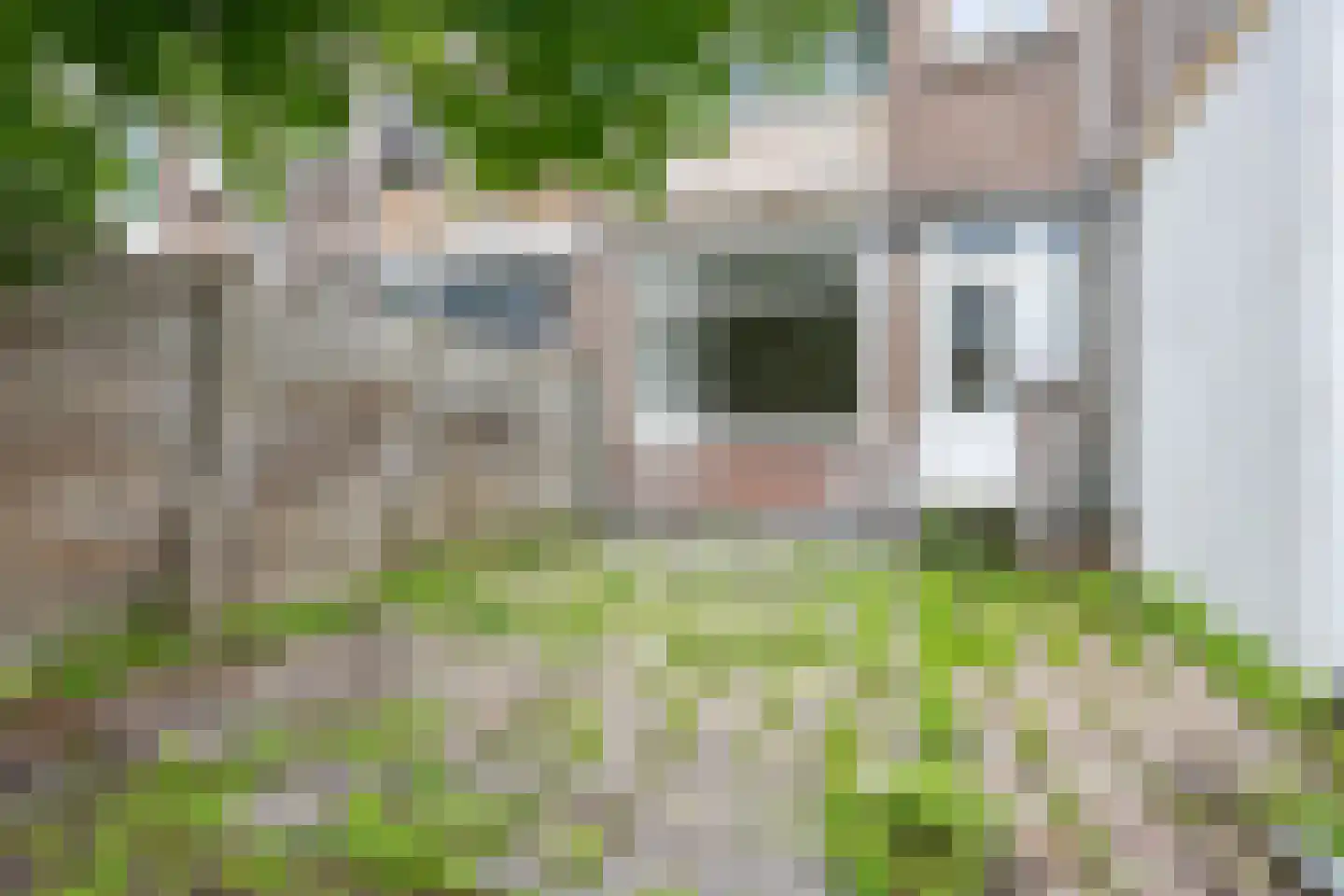 Strevelsweg 204 A 01 Rotterdam thumbnail 19