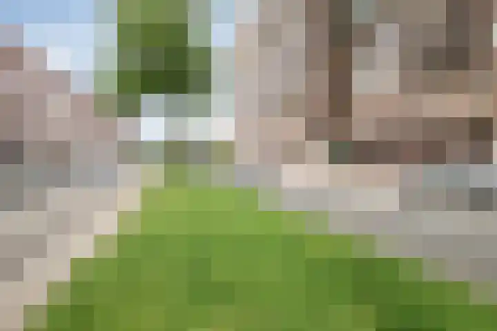 Strevelsweg 207 Rotterdam thumbnail 20