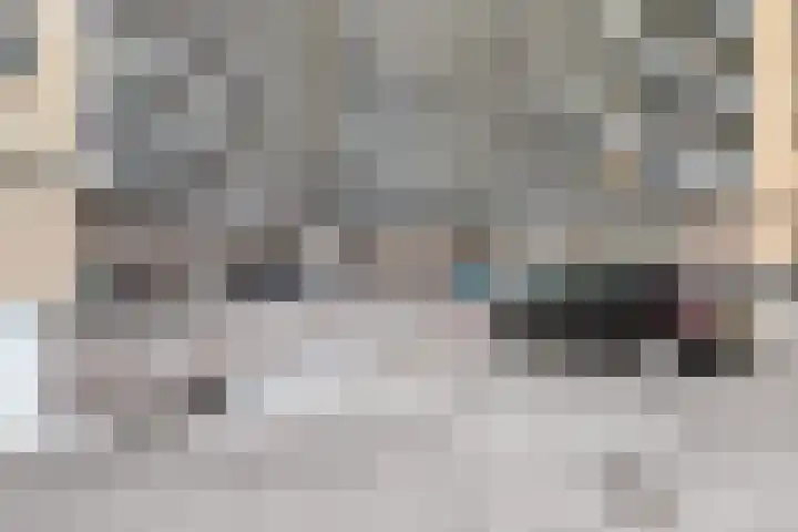 Strevelsweg 207 Rotterdam thumbnail 25