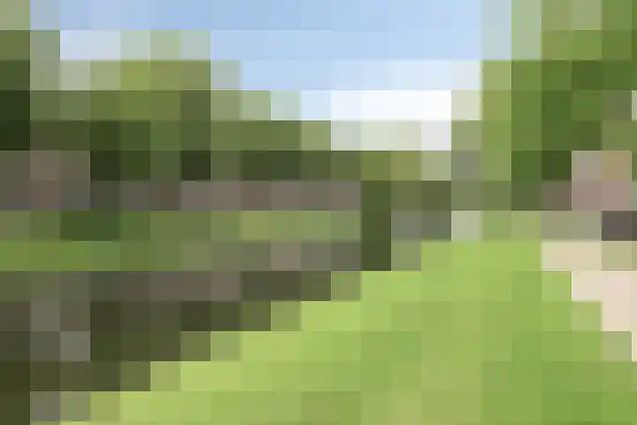 Strevelsweg 207 Rotterdam thumbnail 31