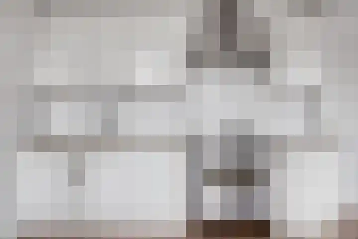 Strevelsweg 207 Rotterdam thumbnail 6